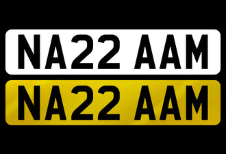 NA22 AAM