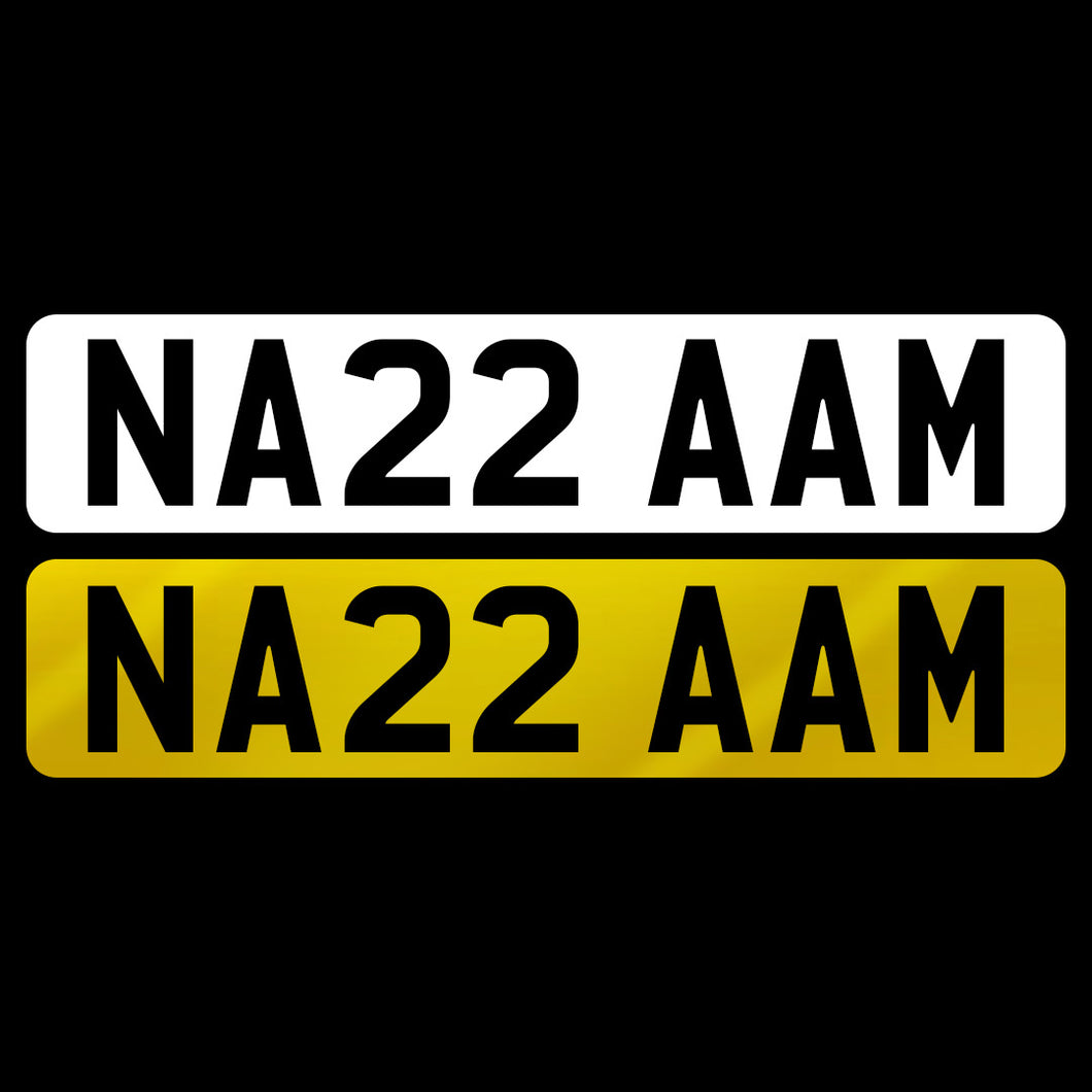 NA22 AAM