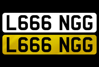 L666 NGG