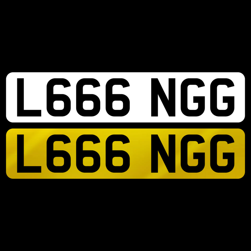 L666 NGG