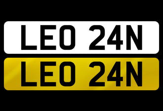 LEO 24N