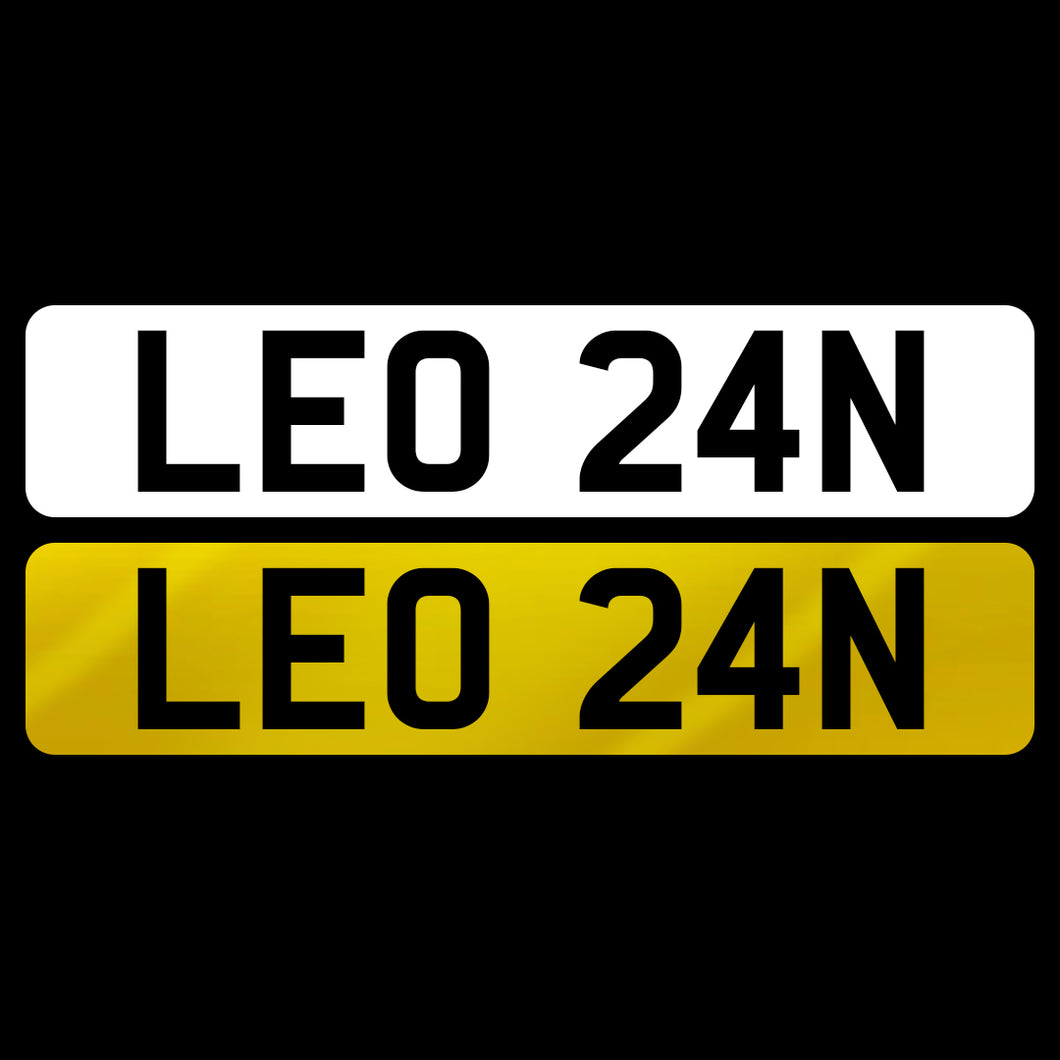 LEO 24N