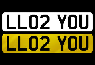 LL02 YOU