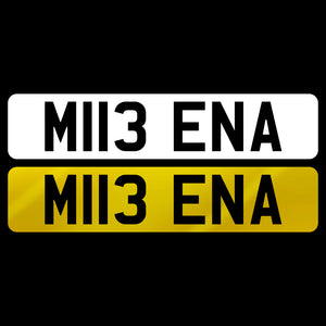 M113 ENA
