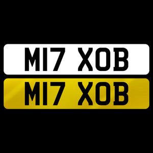 M17 OBX