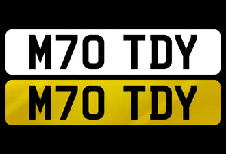 M70 TDY