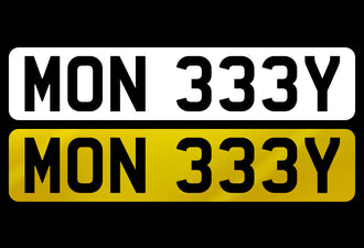 MON 333Y