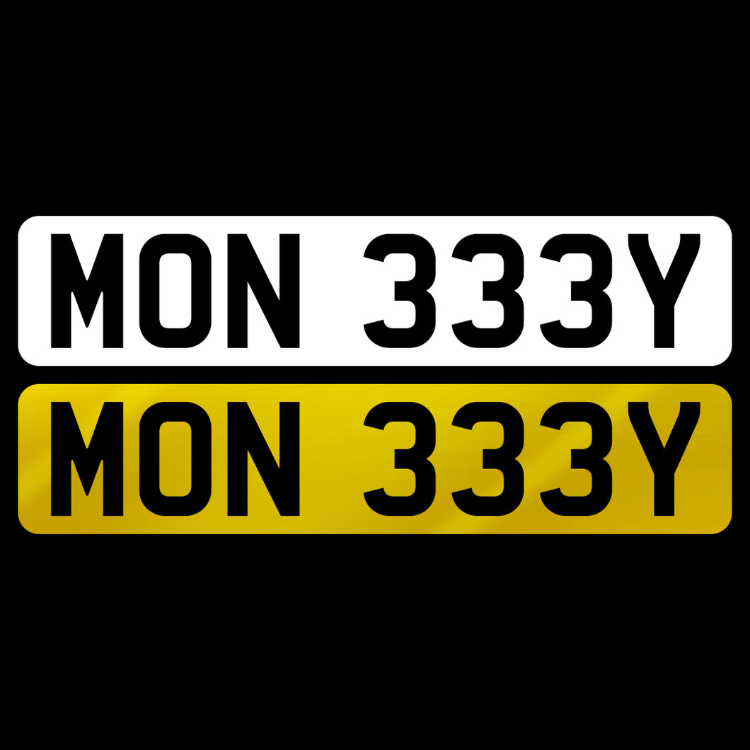 MON 333Y