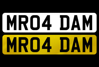 MR04 DAM