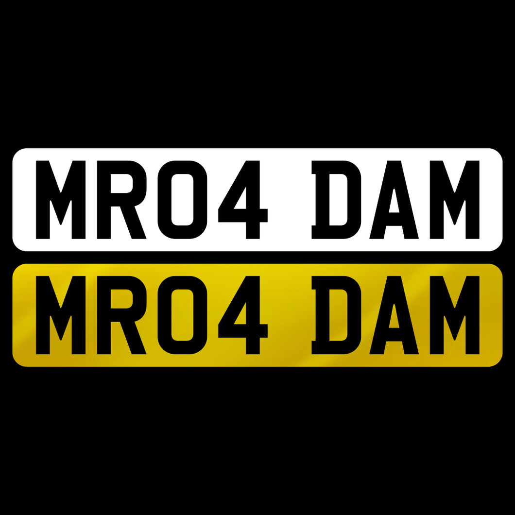 MR04 DAM