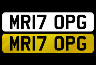 MR17 OPG