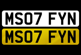 MS07 FYN