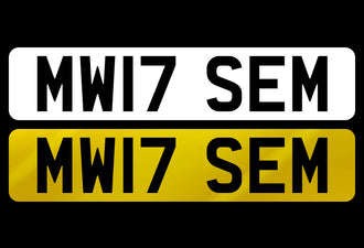 MW17 SEM