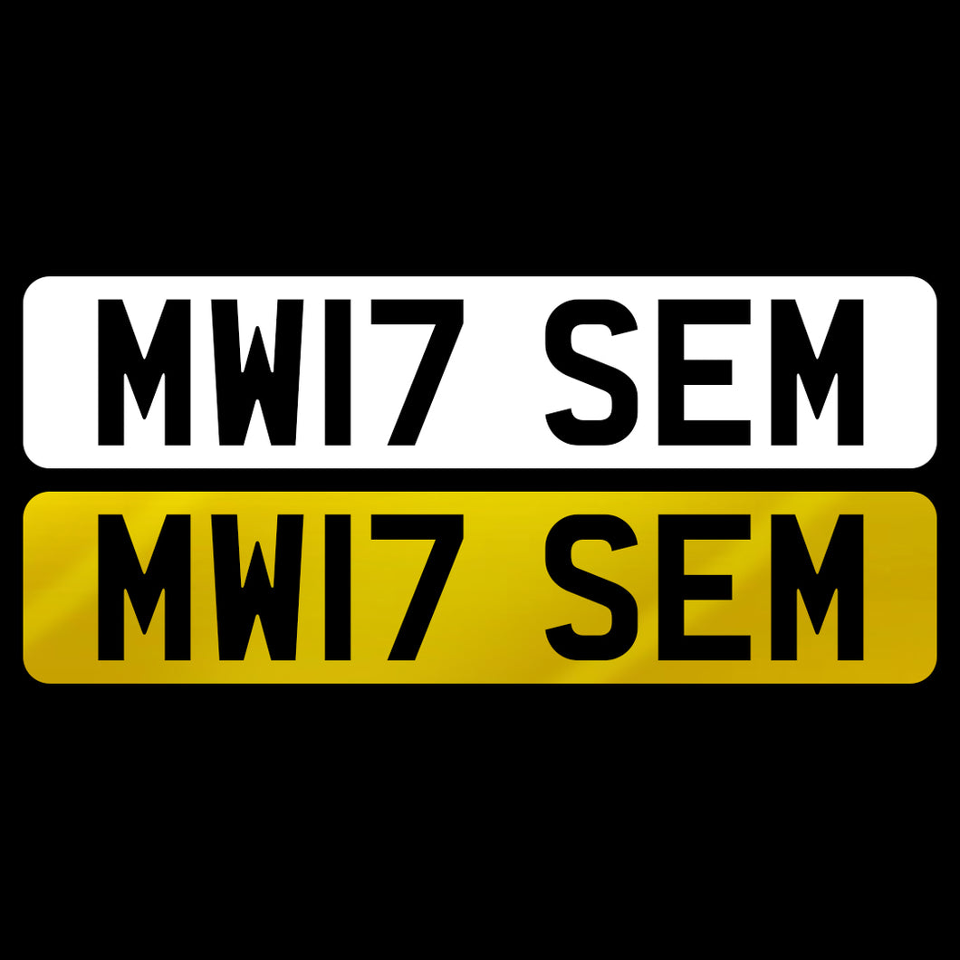 MW17 SEM