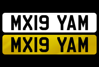 MX19 YAM