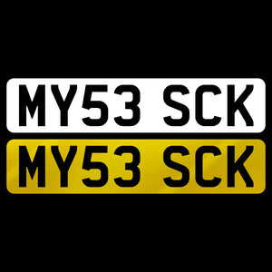 Descriptive image text