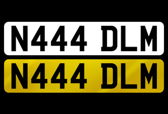 N444 DLM