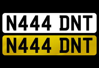 N444 DNT