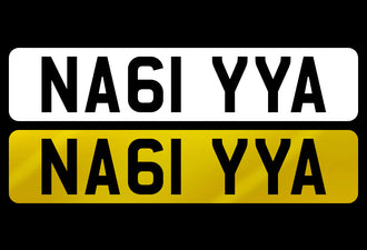 NA61 YYA