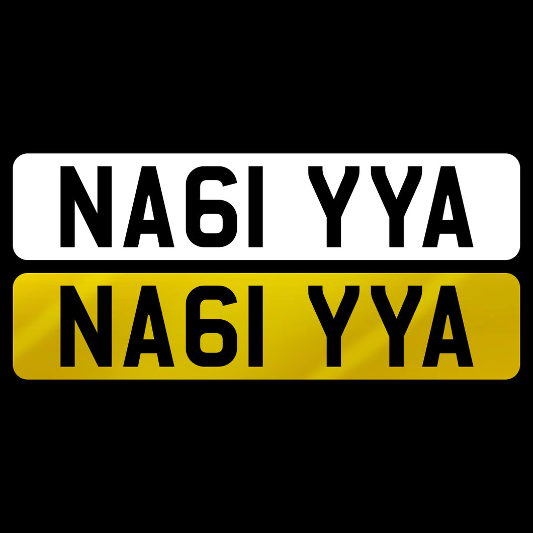 NA61 YYA