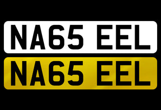 NA65 EEL
