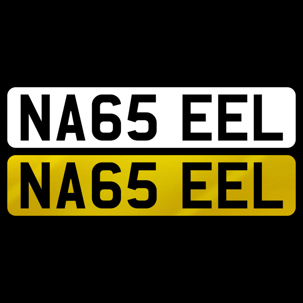 NA65 EEL
