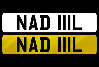 NAD 111L