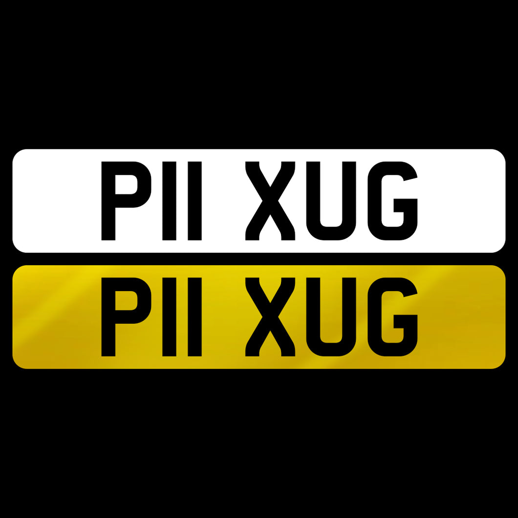 P11 XUG