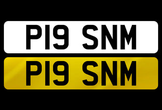 P19 SNM