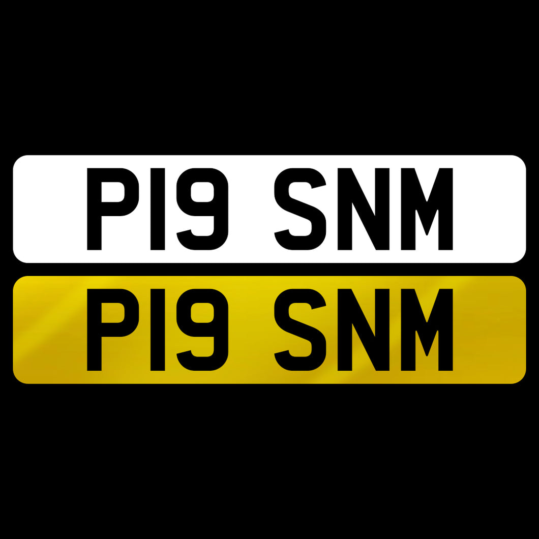 P19 SNM