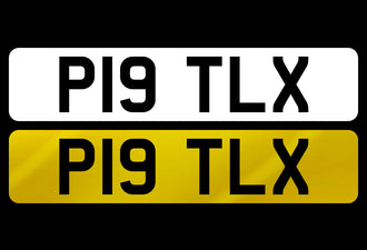 P19 TLX