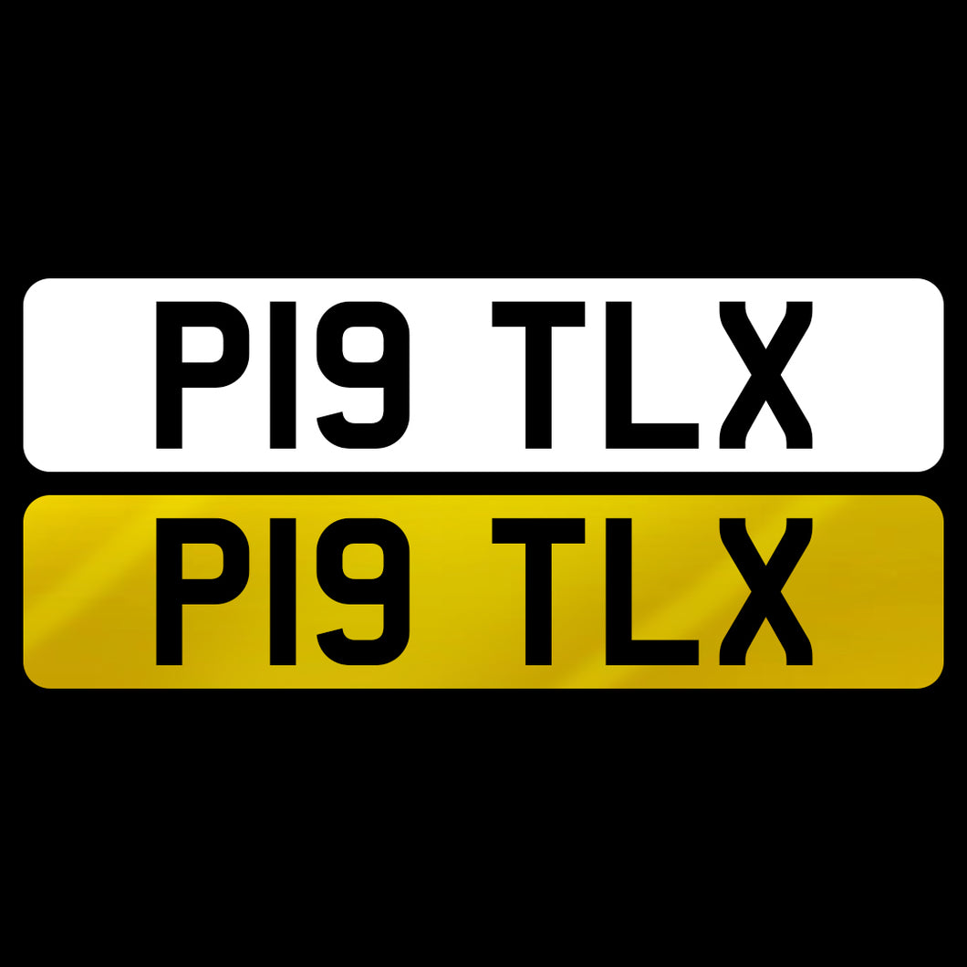 P19 TLX