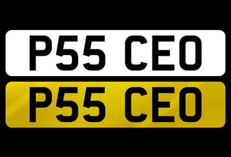P55 CEO