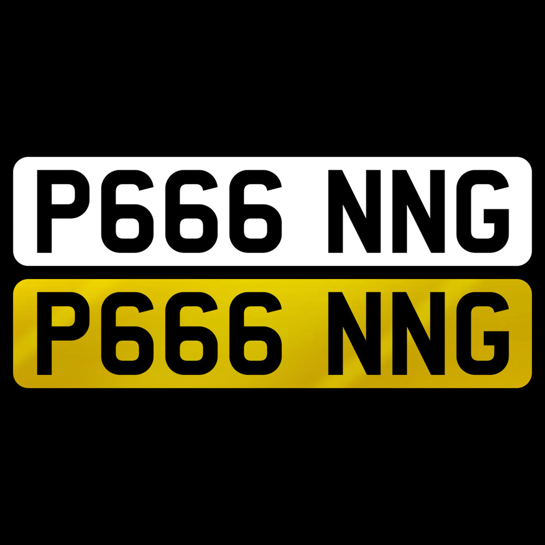 P666 NNG