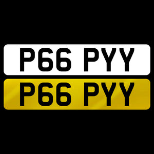 P66 PYY