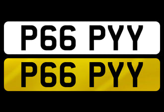 P66 PYY
