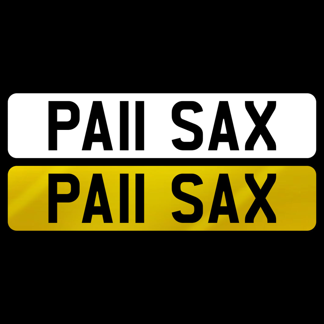 PA11 SAX