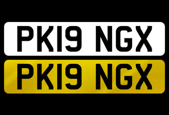 PK19 NGX