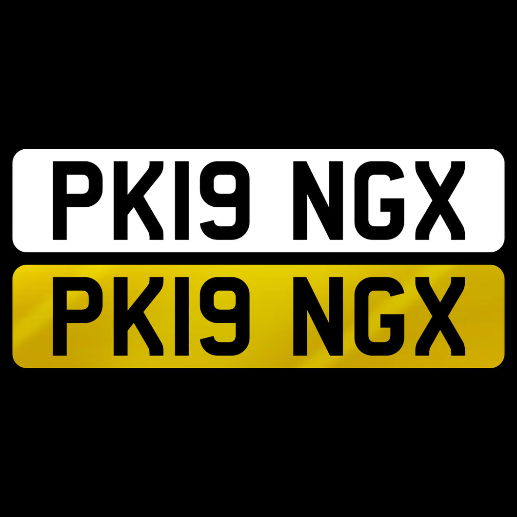 PK19 NGX