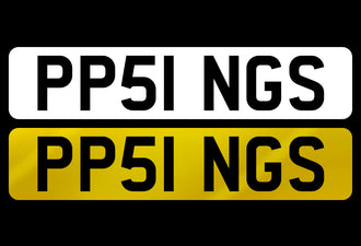 PP51 NGS