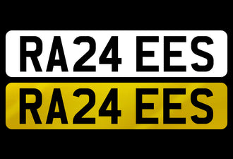 RA24 EES