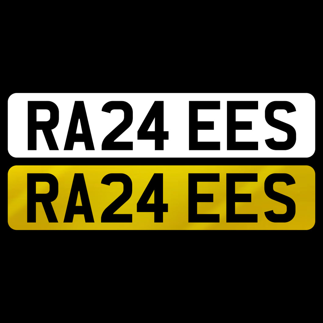 RA24 EES