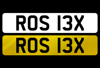 ROS 13X