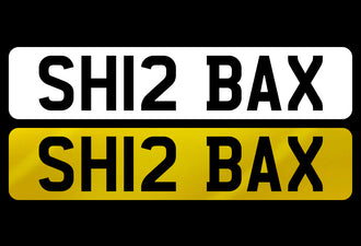 SH12 BAX