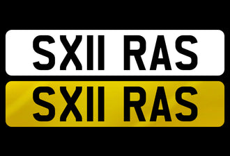 SX11 RAS