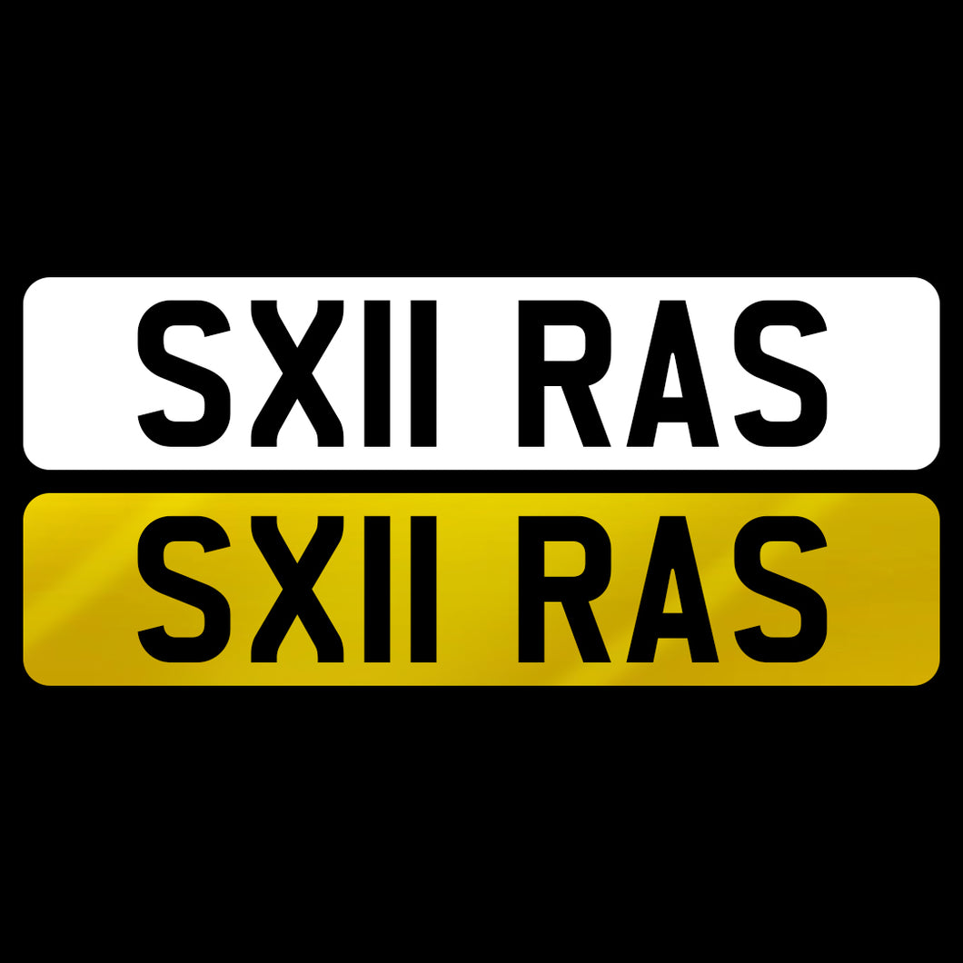 SX11 RAS