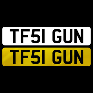 TF51 GUN