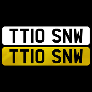 TT10 SNW