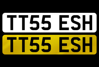 TT55 ESH