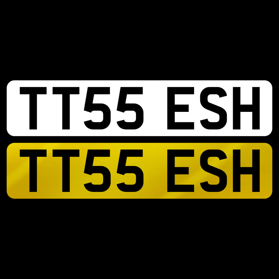 TT55 ESH